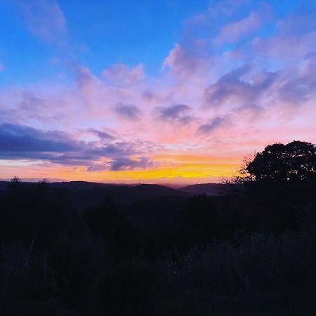 Agriturismo Anna-Rosa Legoli 외부 사진