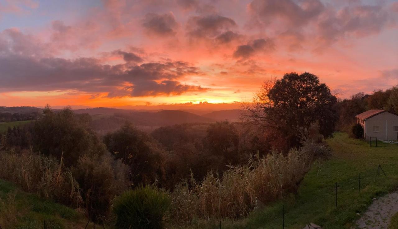 Agriturismo Anna-Rosa Legoli 외부 사진