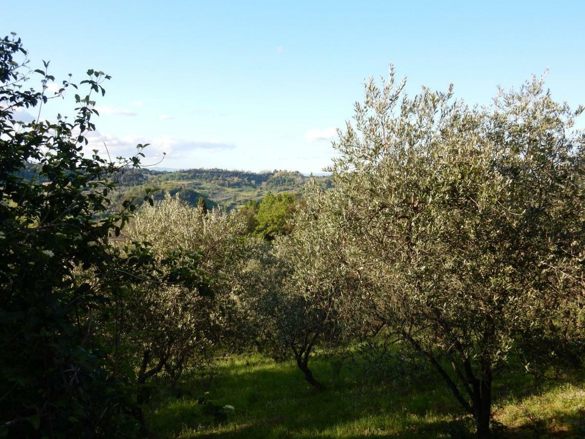 Agriturismo Anna-Rosa Legoli 외부 사진